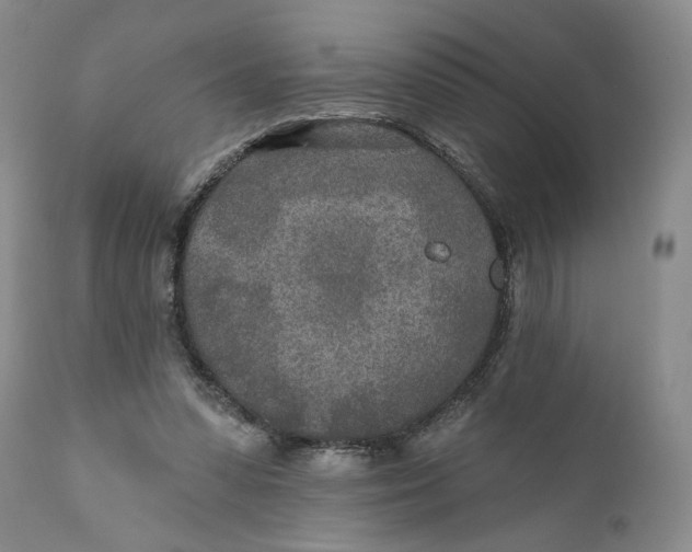 X0000110920303200907091504