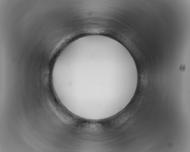 X0000110920304200907091504