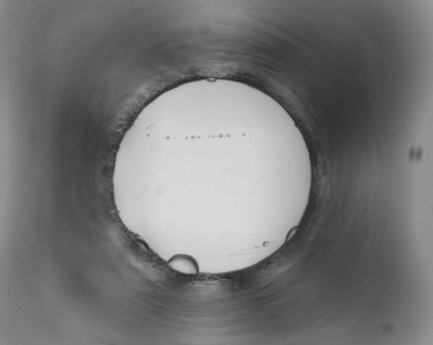X0000110920307200907091504