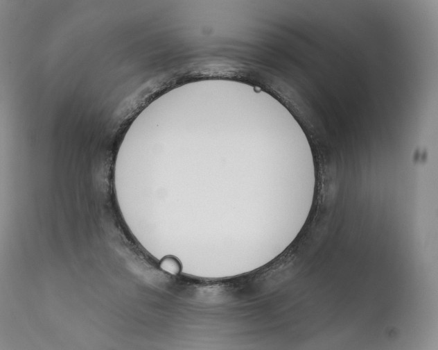 X0000110920309200907091504