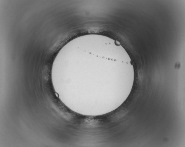 X0000110920311200907091504