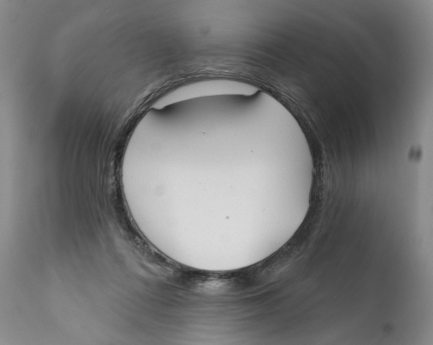 X0000110920312200907091504