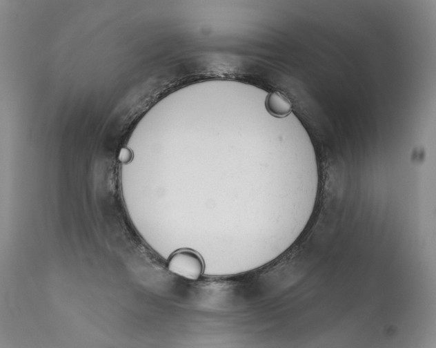 X0000110920313200907091504