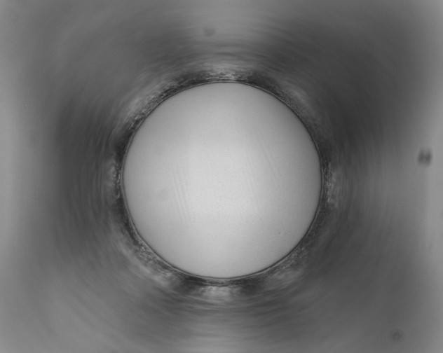 X0000110920314200907091504