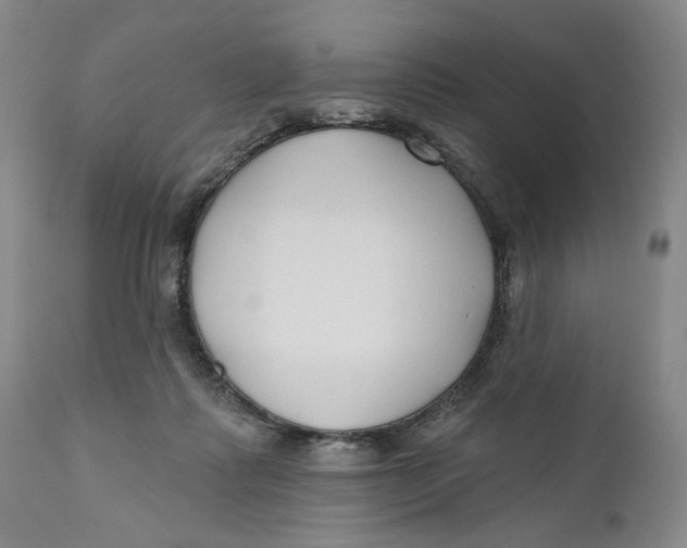 X0000110920315200907091504