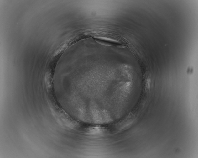 X0000110920316200907091504