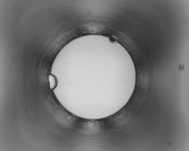 X0000110920317200907091504