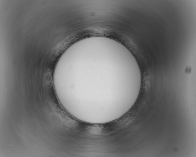 X0000110920318200907091504