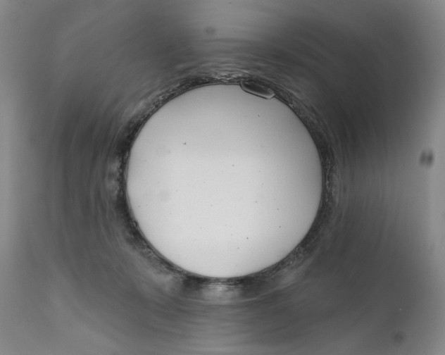 X0000110920319200907091503
