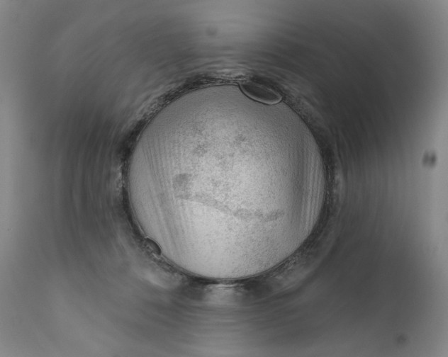 X0000110920320200907091503
