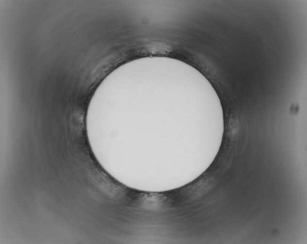 X0000110920321200907091503