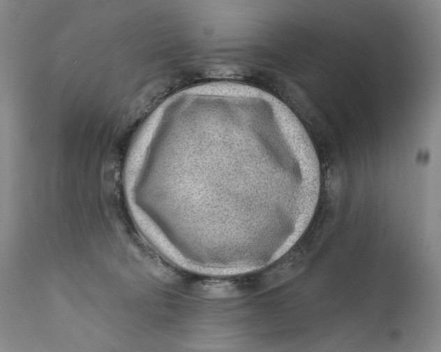 X0000110920322200907091503