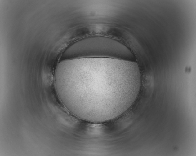 X0000110920324200907091503