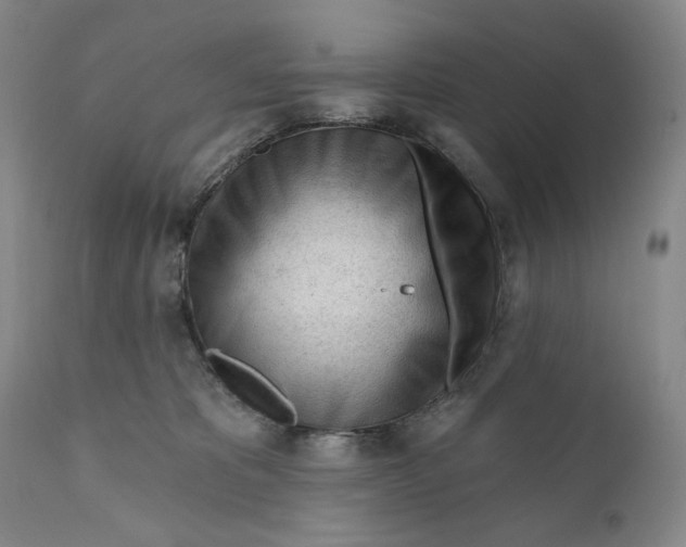 X0000110920325200907091503
