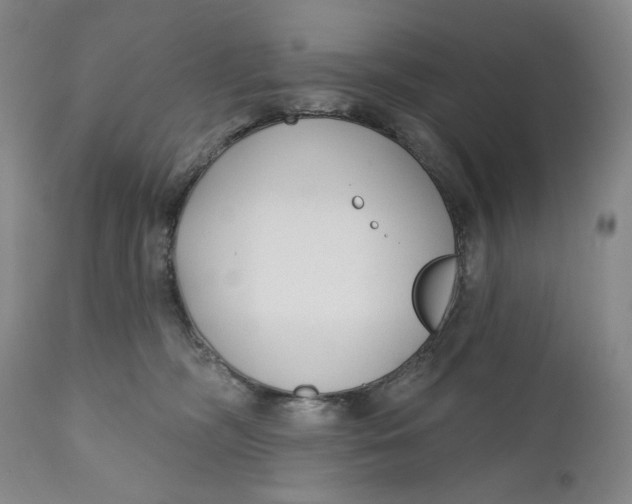 X0000110920326200907091503