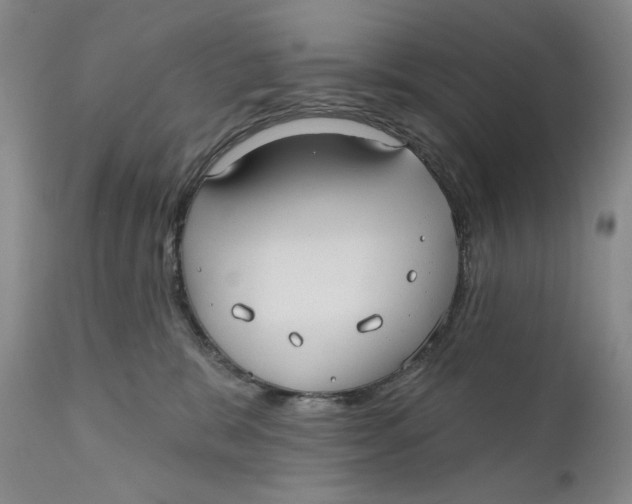 X0000110920327200907091503