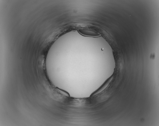 X0000110920328200907091503