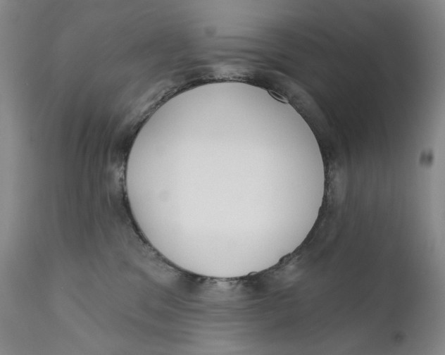 X0000110920329200907091503