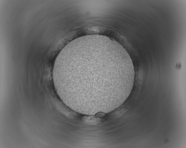 X0000110920331200907091503