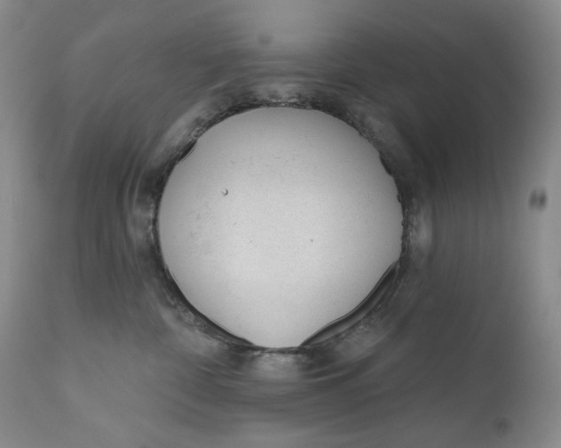X0000110920332200907091503