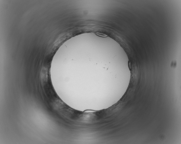 X0000110920333200907091503