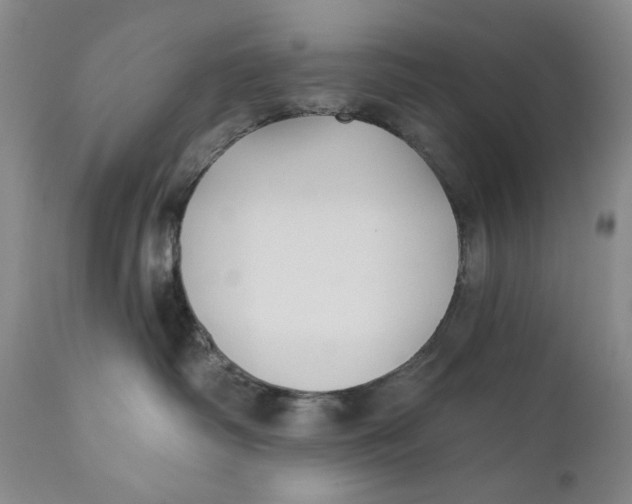 X0000110920334200907091503