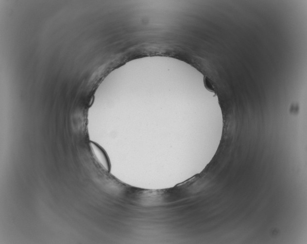 X0000110920335200907091503