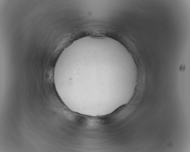 X0000110920336200907091503