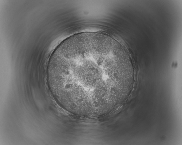X0000110920337200907091502