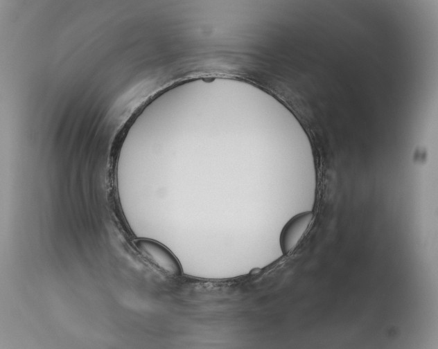 X0000110920338200907091502
