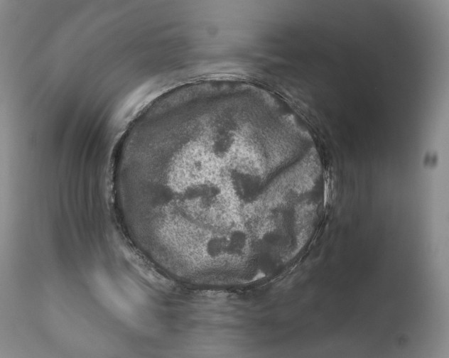 X0000110920339200907091502