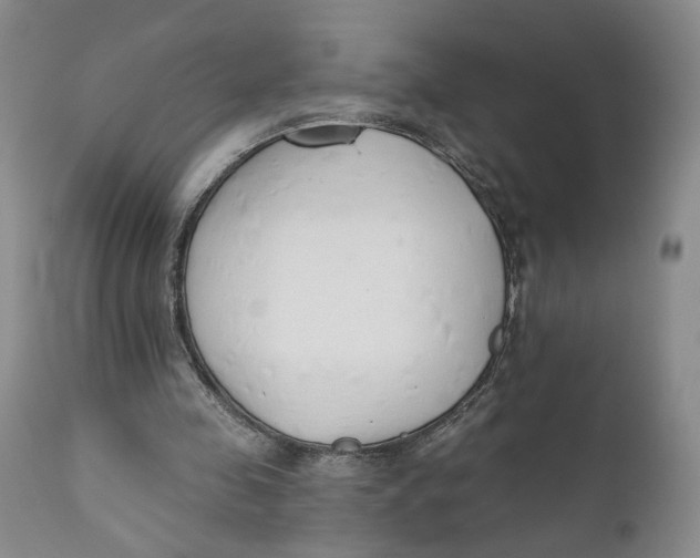 X0000110920341200907091502