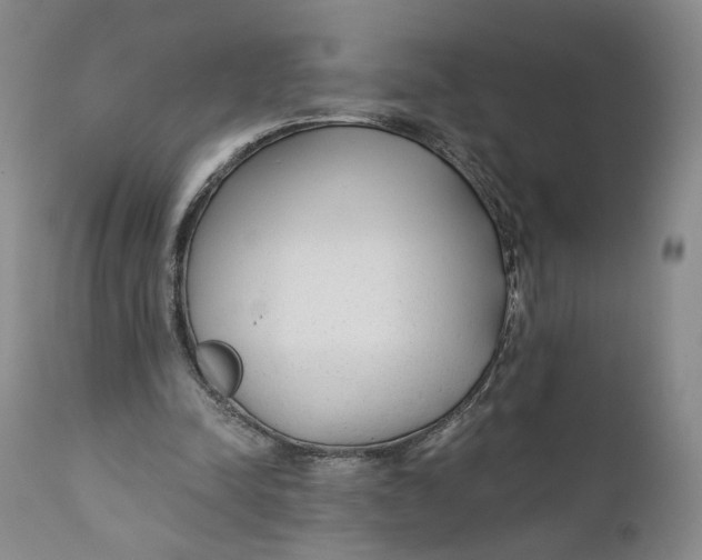 X0000110920342200907091502