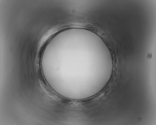 X0000110920343200907091502