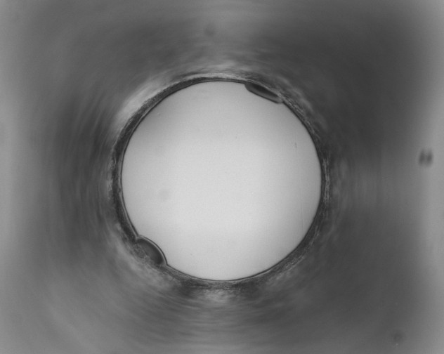 X0000110920344200907091502