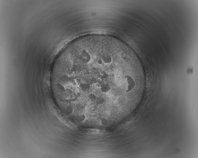 X0000110920347200907091502
