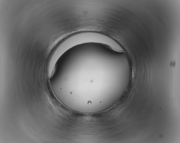 X0000110920348200907091502