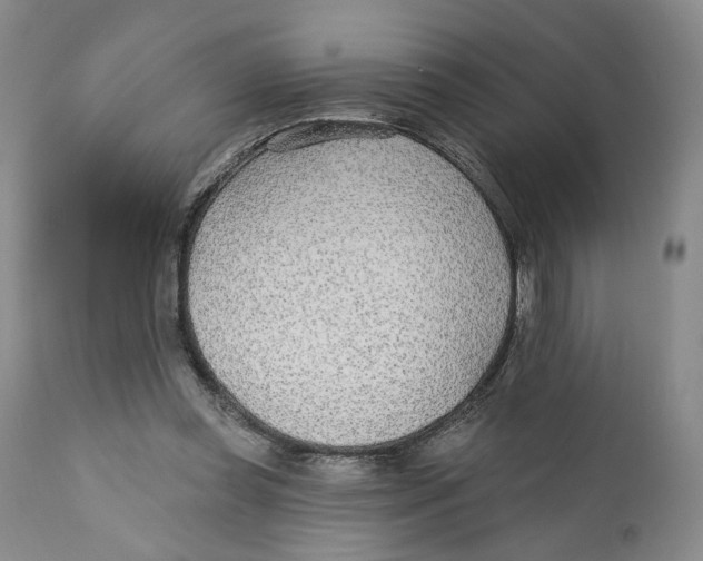 X0000110920349200907091502
