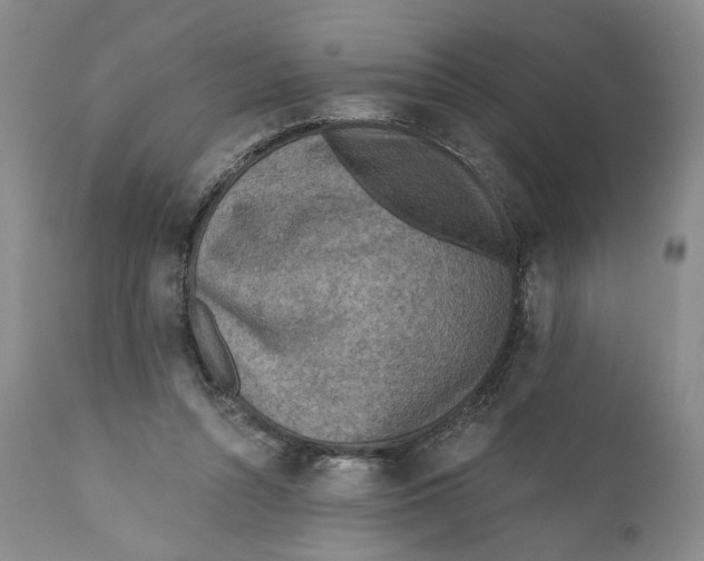 X0000110920352200907091502