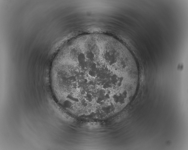 X0000110920353200907091502