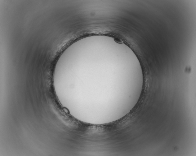 X0000110920354200907091502