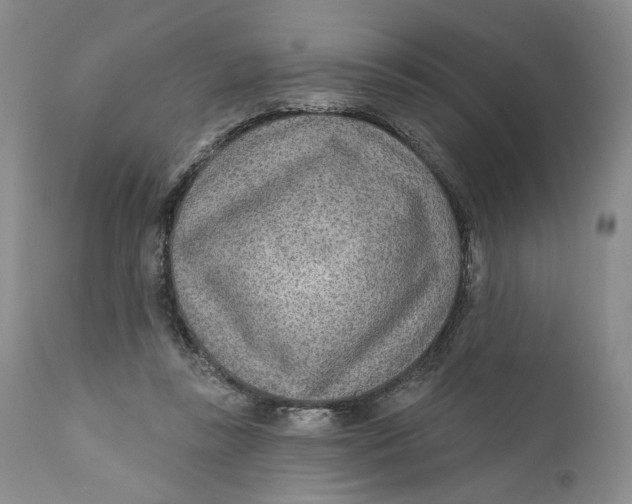 X0000110920355200907091502