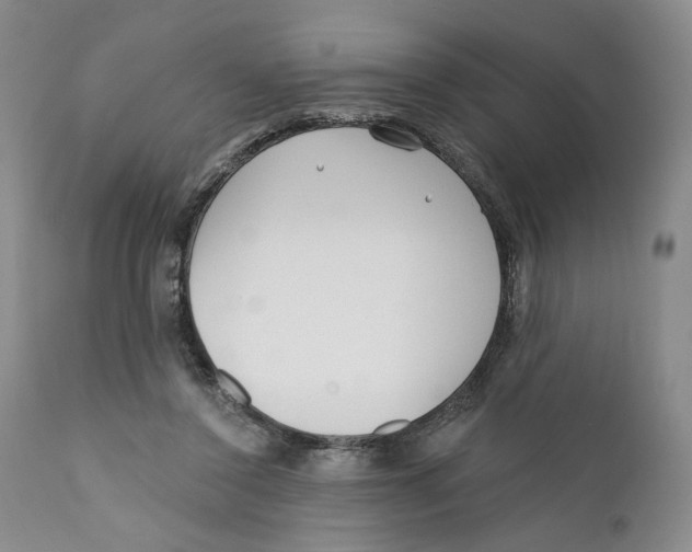 X0000110920356200907091502
