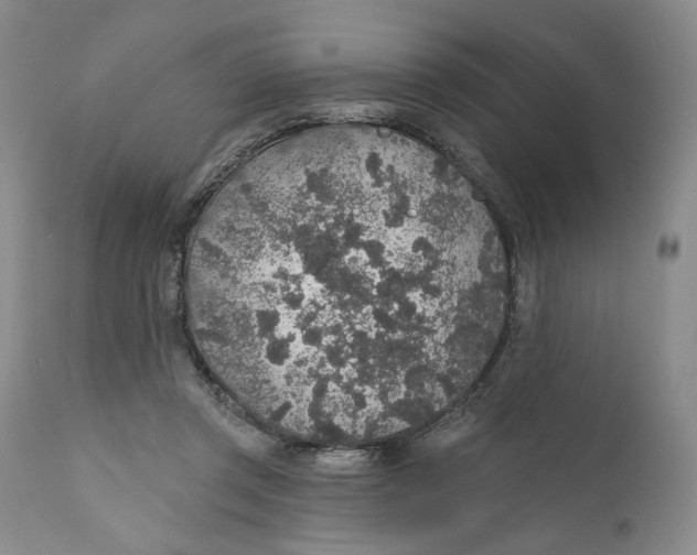 X0000110920357200907091502