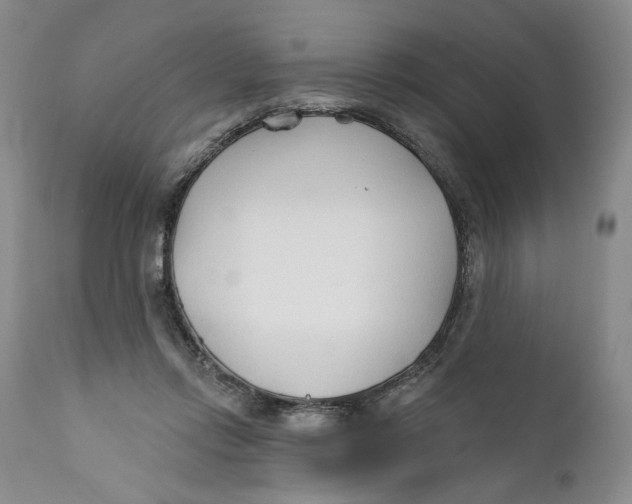 X0000110920358200907091503