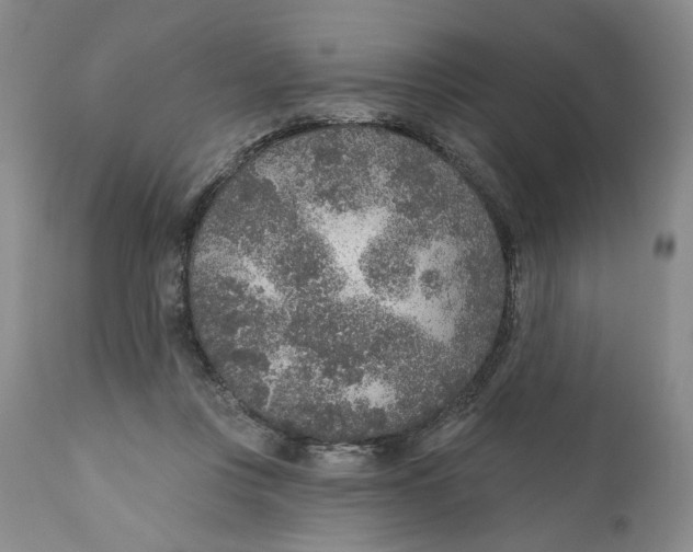 X0000110920359200907091503