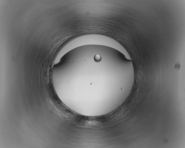 X0000110920360200907091503