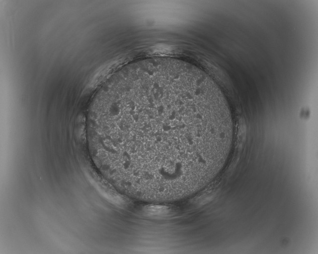 X0000110920361200907091503