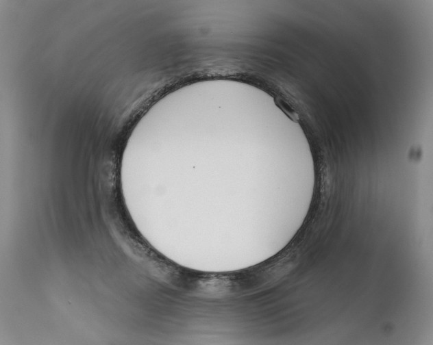 X0000110920362200907091503