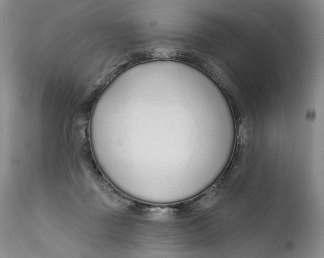 X0000110920363200907091503